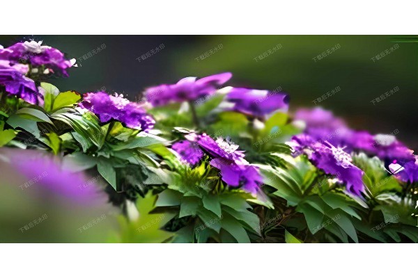 13. 武汉桑拿馆探秘,养生之旅从这里开始 13. 武汉桑拿馆探秘,养生之旅从这里开始